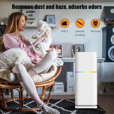Good price ODM HEPA Ruimtestofreiniger Residentiële luchtreiniger 240V Voor PM2.5 online