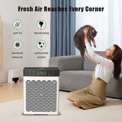 Good price OEM Indoor Ontvochtigings- en Luchtreiniger Kattenvuil en Honden Urine Deodorant online